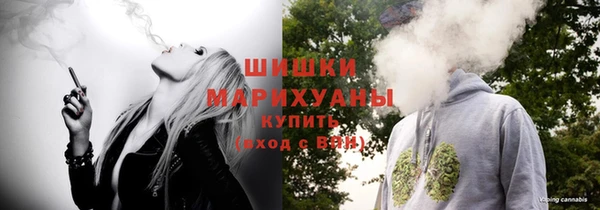 spice Бородино