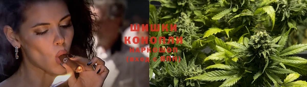 ECSTASY Богородск
